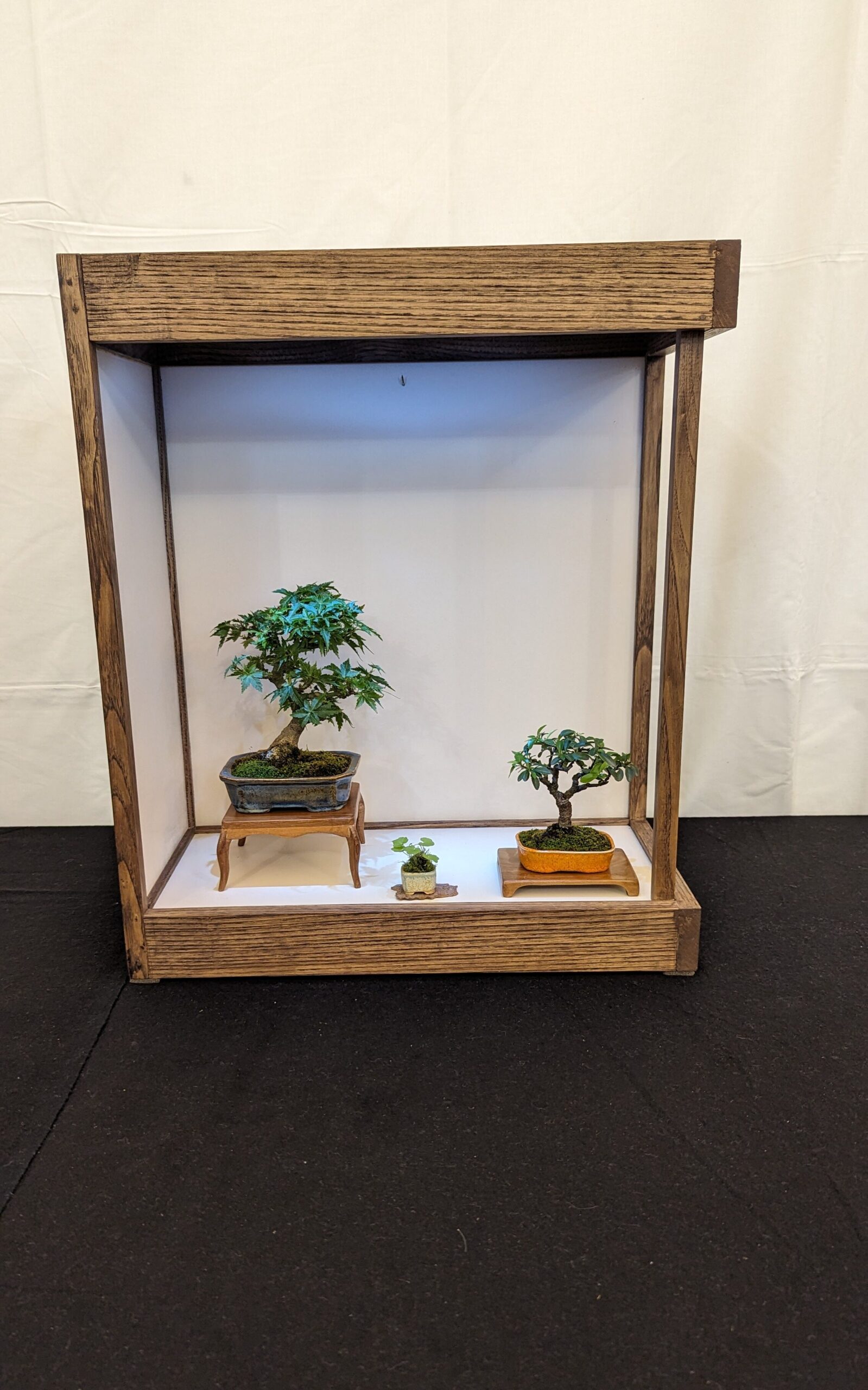 bonsai dans un tokonama